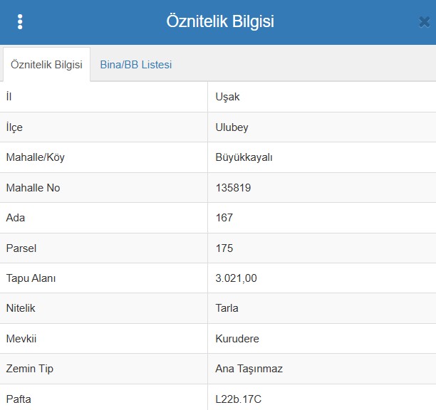    UŞAK ULUBEY BÜYÜKKAYALI KÖYÜ’NDE 3.021 M² TARLA SATILIKTIR - UŞAK ULUBEY fotoğraf 9